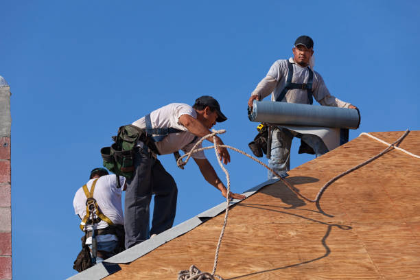 Best Flat Roof Repair Services  in Chisholm, MN