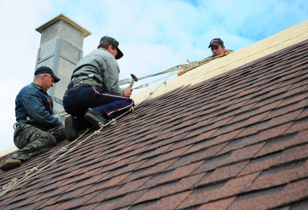 Best Metal Roofing Contractor  in Chisholm, MN